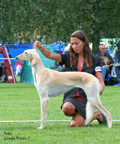 img_6737-happy-w1-1