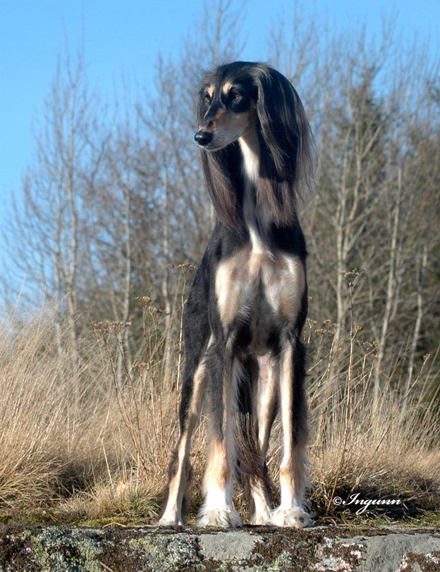 mindy_march2012_front2