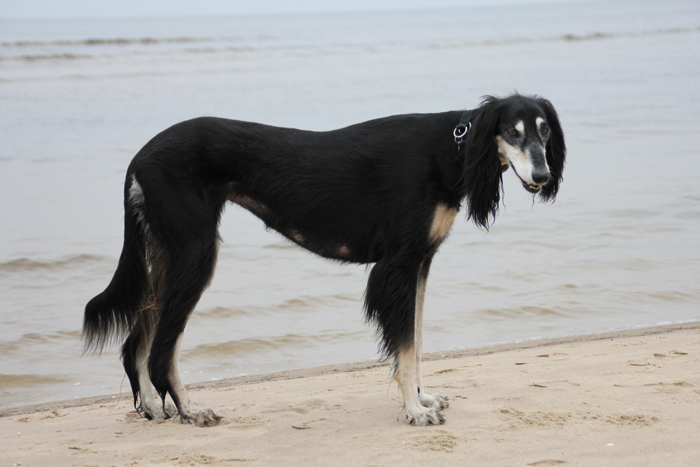 strand_409 strand_409