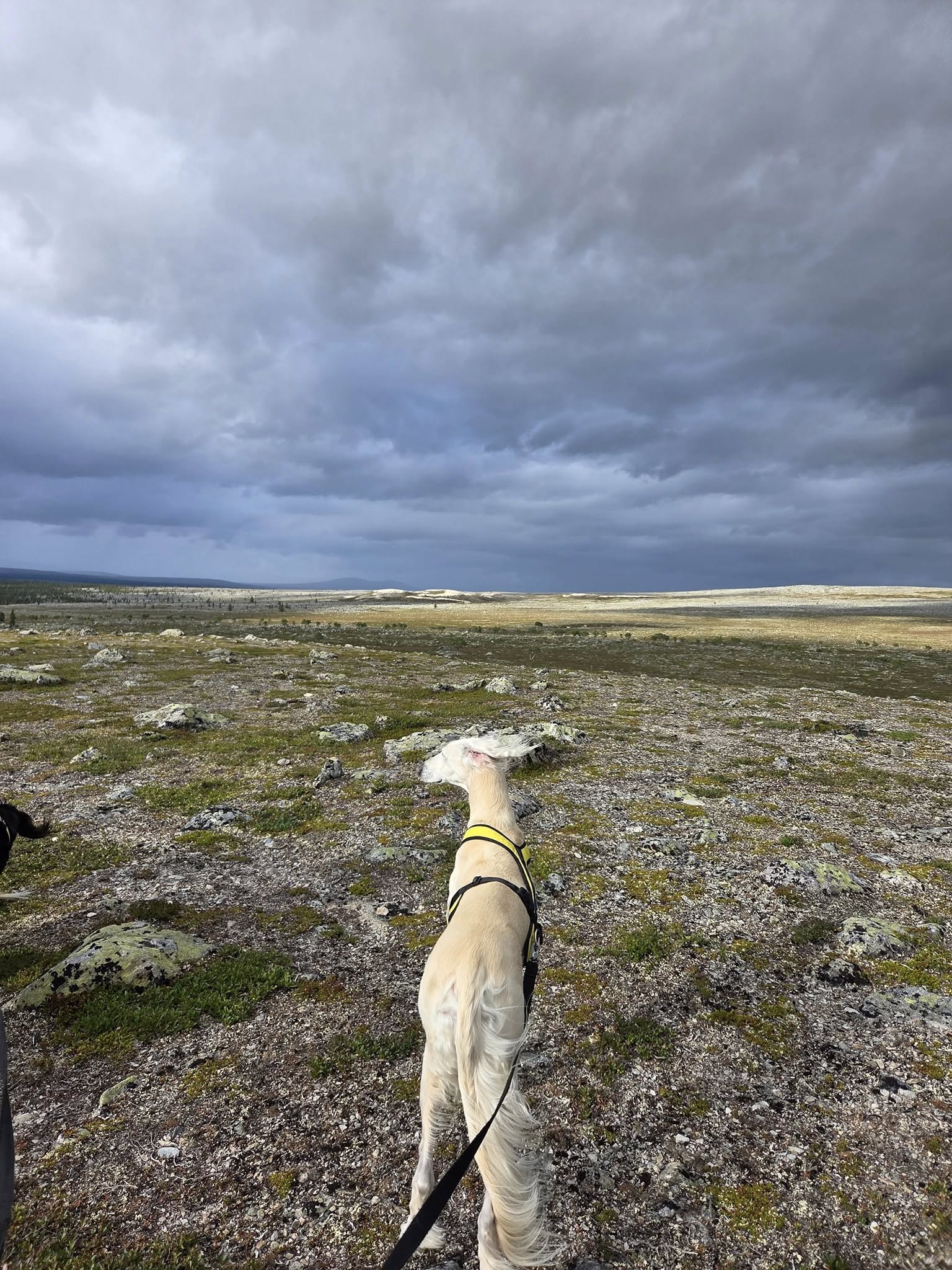 515325787_10161597558302201_8388115325533624950_n