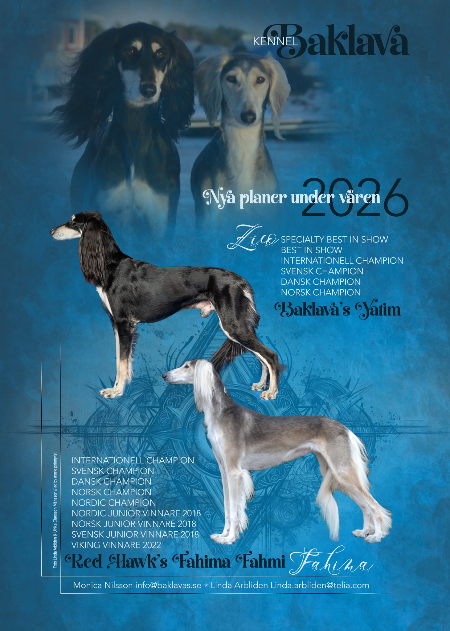 att.Q6eLKy33vOTEpaPESY1gm3yAqWjoLEPZLqNugTewElI